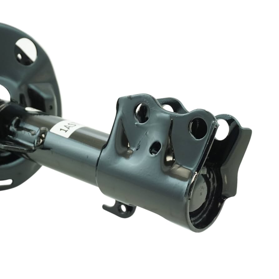 Amazon.com: TRQ Front Strut & Coil Spring Assembly Set